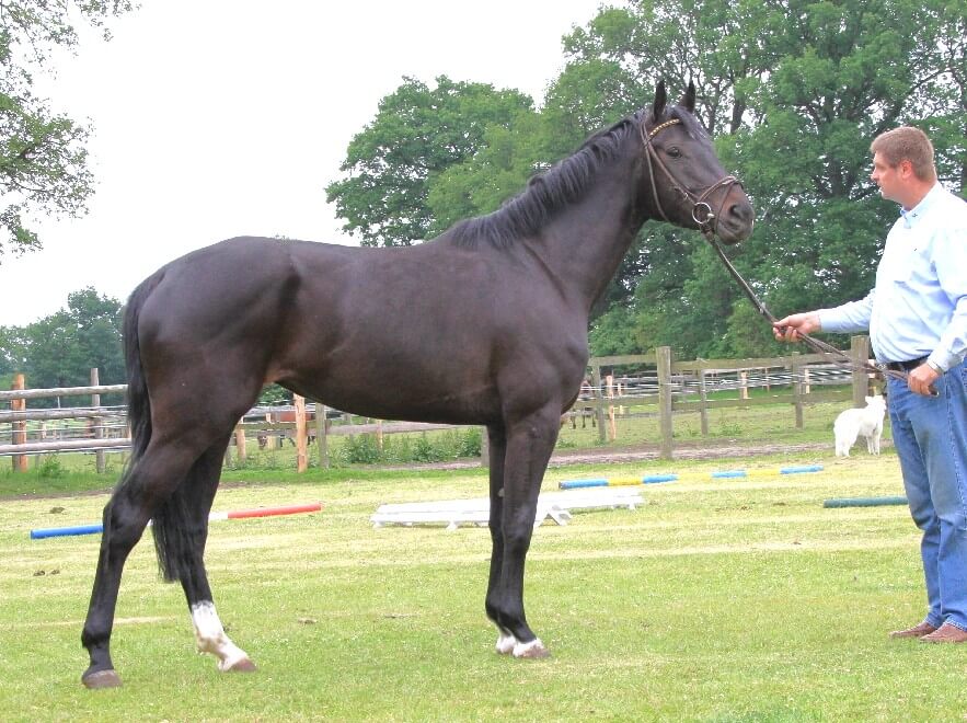 Galina, Foto: Uschtrin