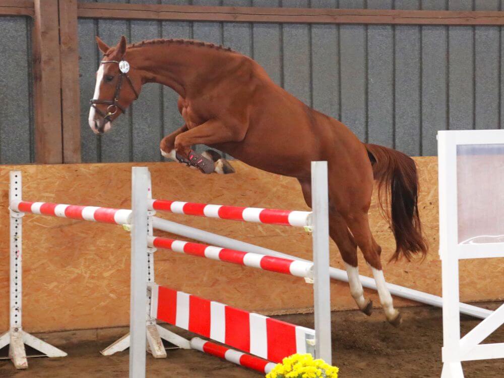 Konya RD, Foto: Uschtrin