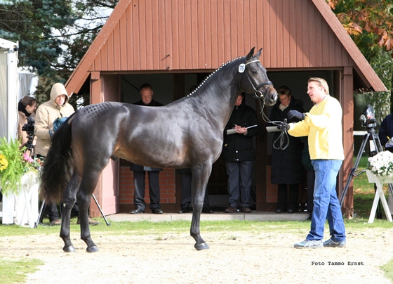 PB. Cent, Foto: Ernst PB. Cent, Foto: Ernst