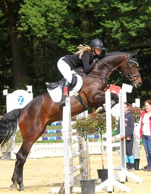 Cinnamon 35 / Anna Rennings Cinnamon 35 / Anna Rennings