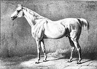 Mambrino II xx v. Rubello xx Mambrino II xx v. Rubello xx